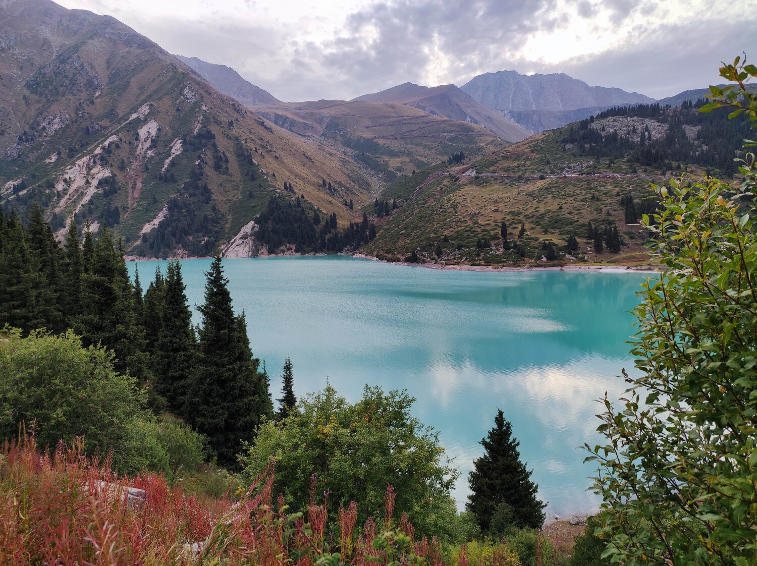 Photo #11498540