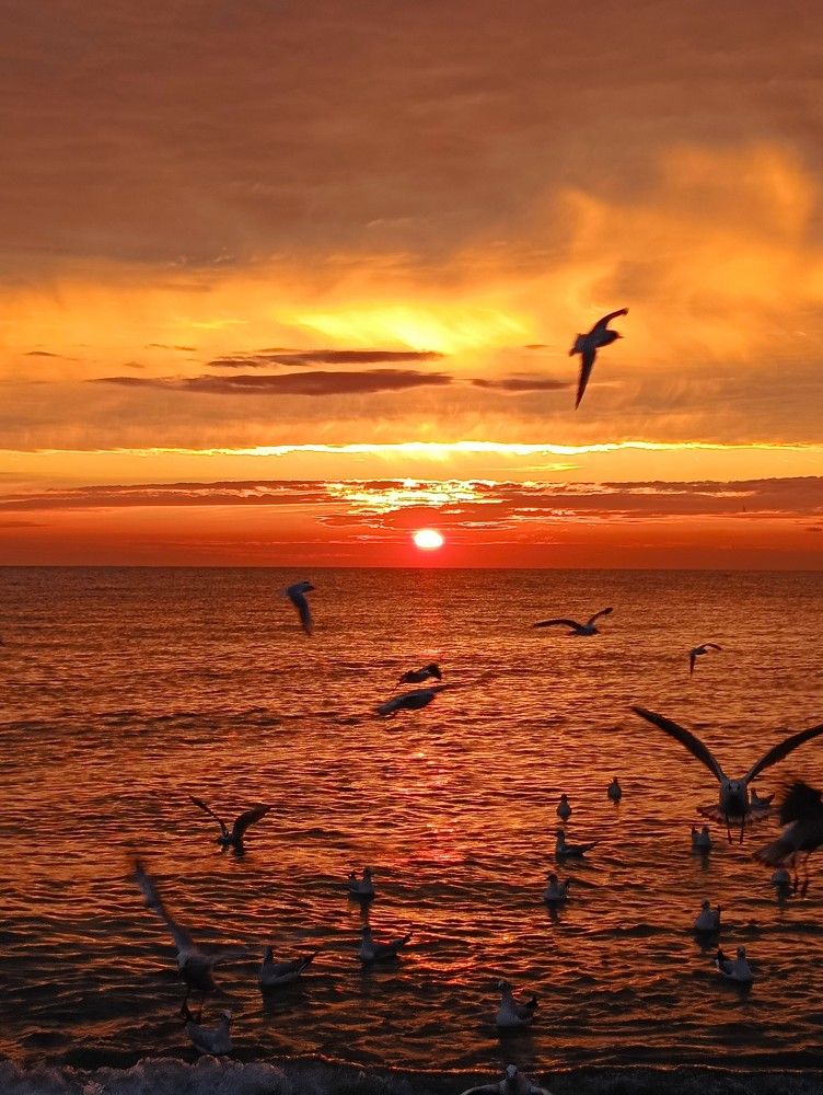 Фотография автора Елена Александрова