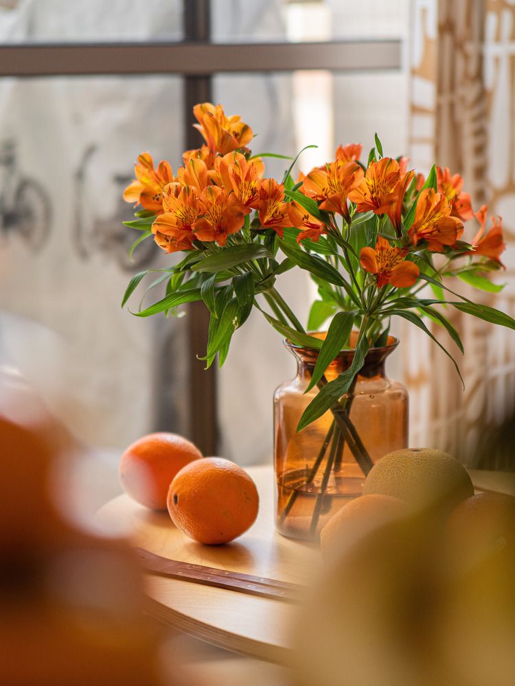 Фотография автора Доляна Горохова