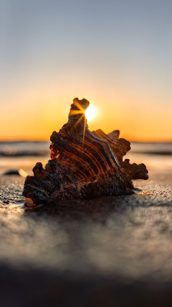 Photograph by Кристина Дугина