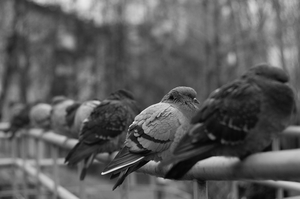 Photograph by Kirill Zhulanow
