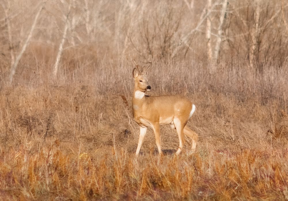 Photograph by Веретельников Дмитрий