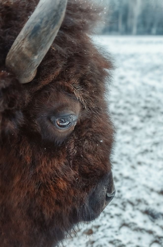 Фотография автора Lyudmila Yakovleva