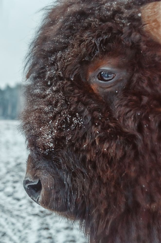 Фотография автора Lyudmila Yakovleva