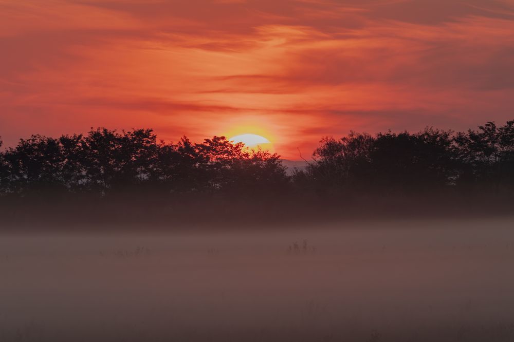 Photograph by George Alexandru Ghiuro