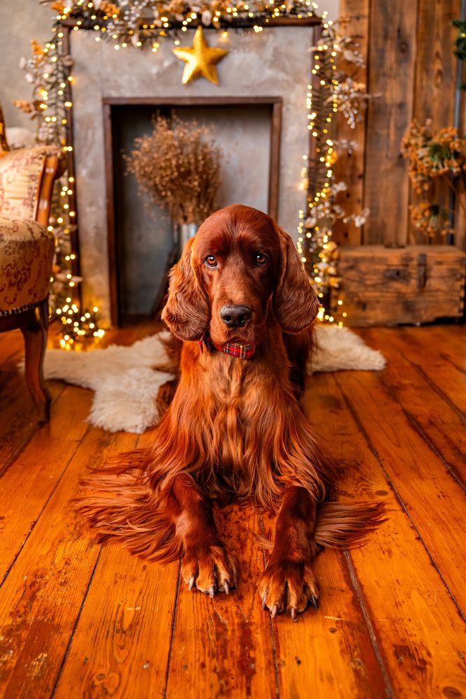 Photograph by Bernadett Bálint