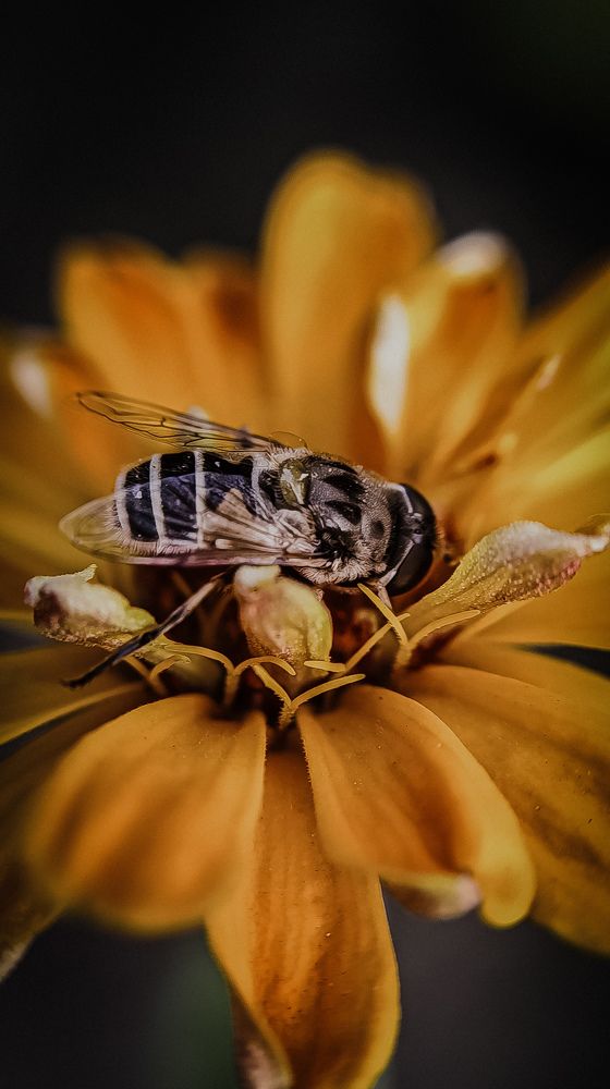 Фотография автора Юлия Якубова