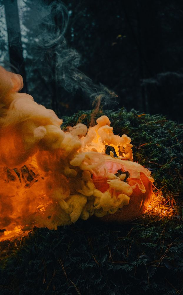 Фотография автора Геннадий Ломеко