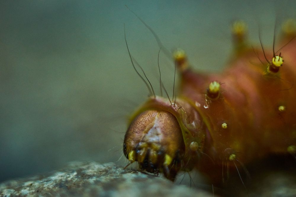 Photograph by Лариса Неман