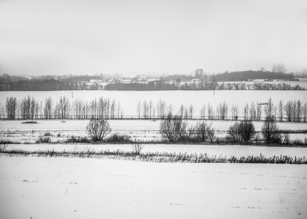 Photograph by Сагдиева Эльвира