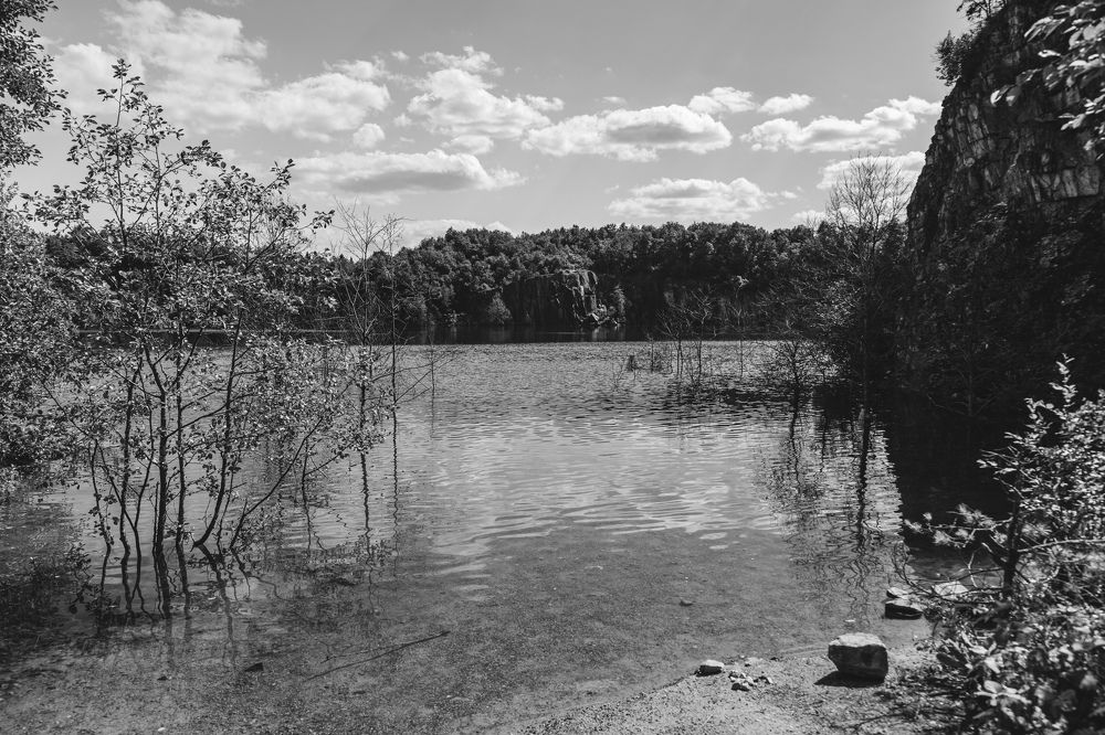 Photograph by Сагдиева Эльвира