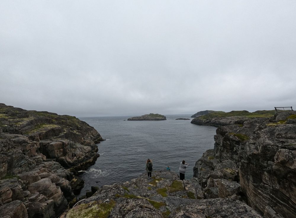 Photograph by Елена