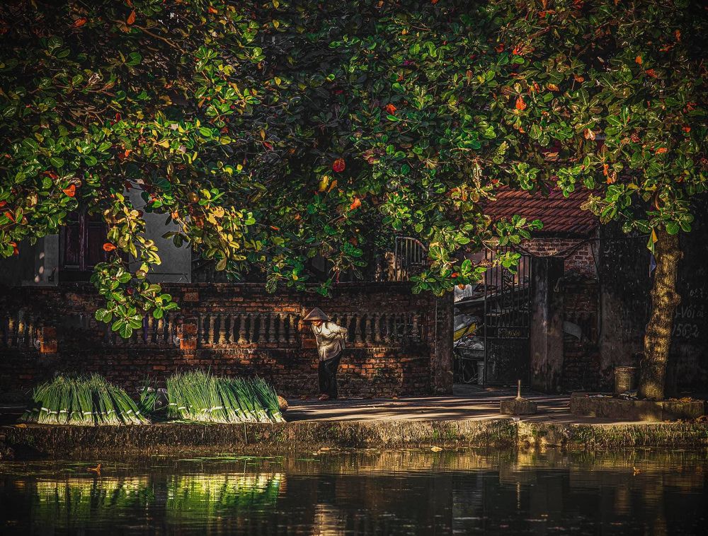 Photograph by Vuong Bui