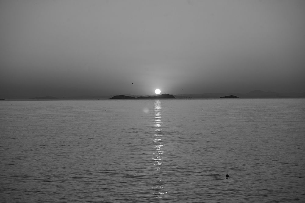 Photograph by Лариса Неман