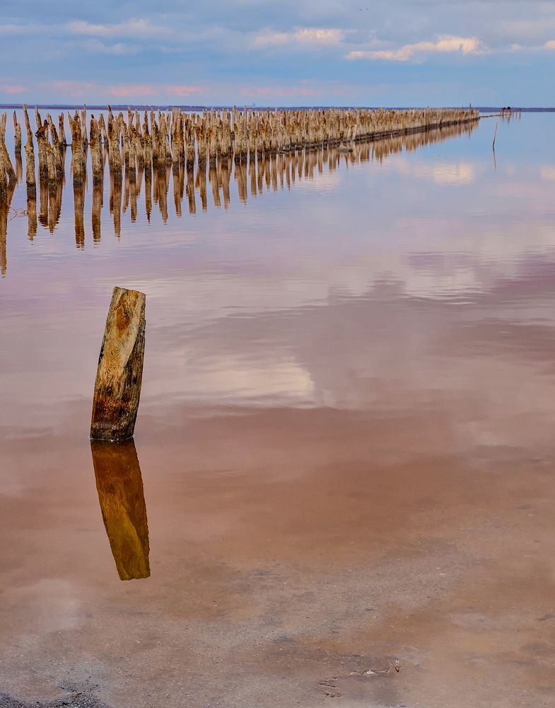 Photograph by ELENA KRYLOVA