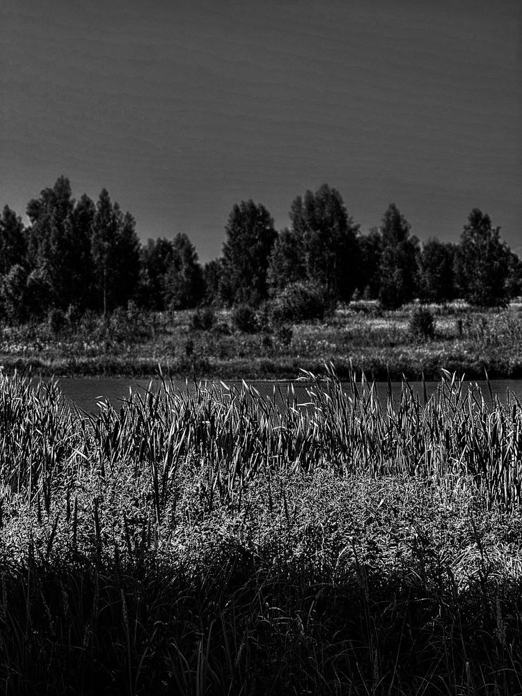 Photograph by Мария Бурик