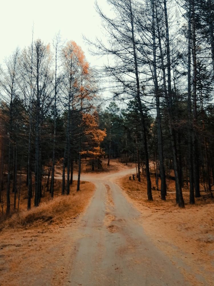 Photo #11498943