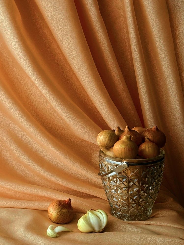 Photograph by Yulia Kotova