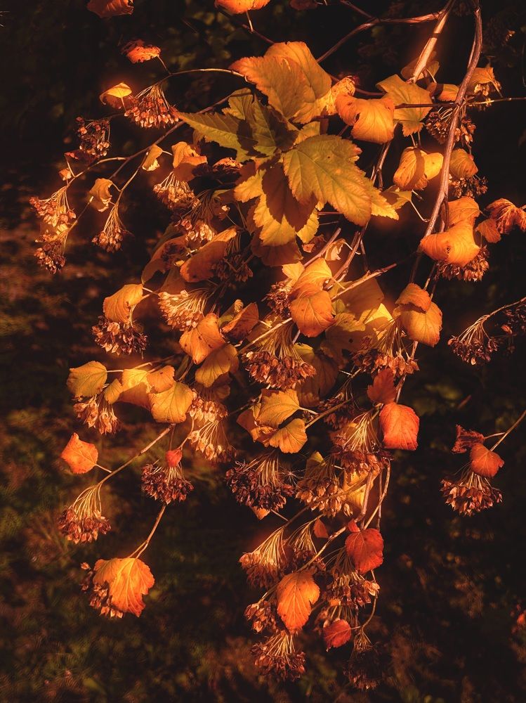 Photograph by Yulia Kotova