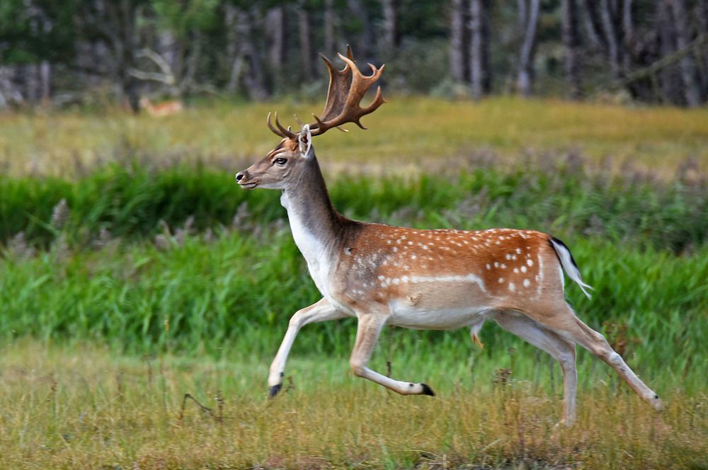 Photograph by Marjo Steffen