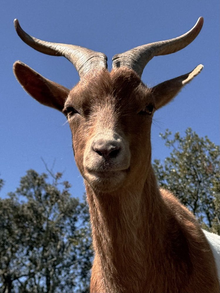 Photograph by Marina Odintsova