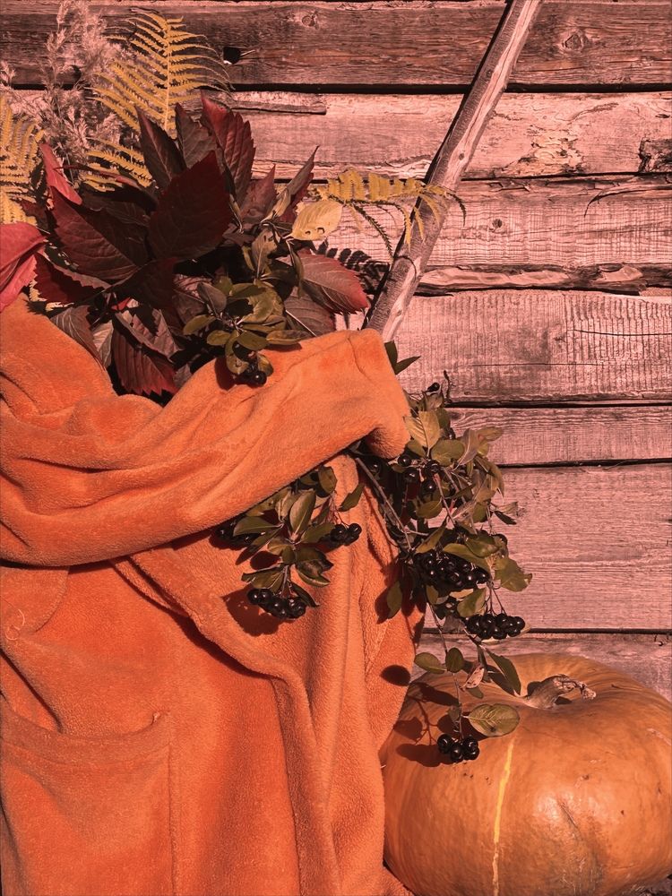 Photograph by Yulia Kotova