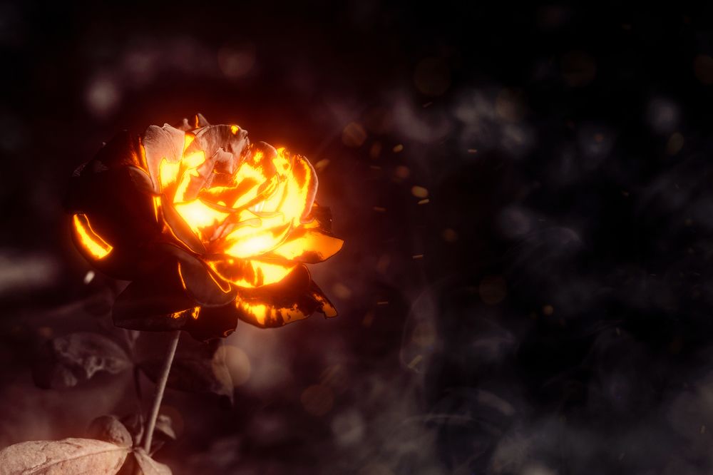 Photograph by Ni Bruce