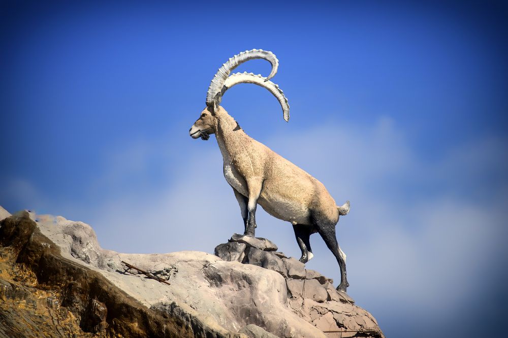 Фотография автора Андрей Пучков