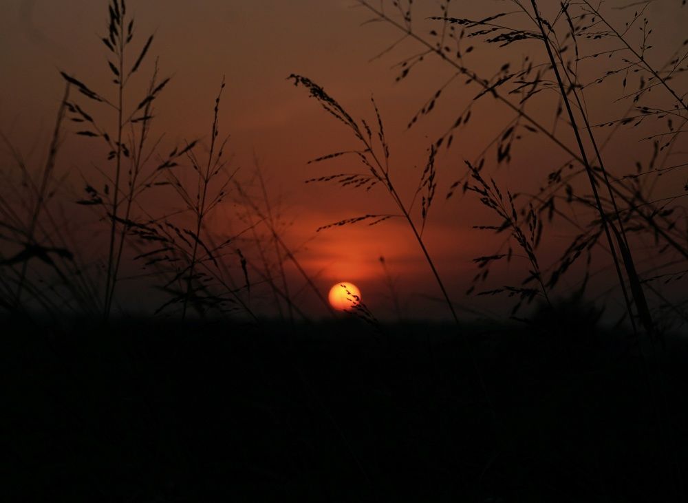 Фотография автора Pavitra Vyas