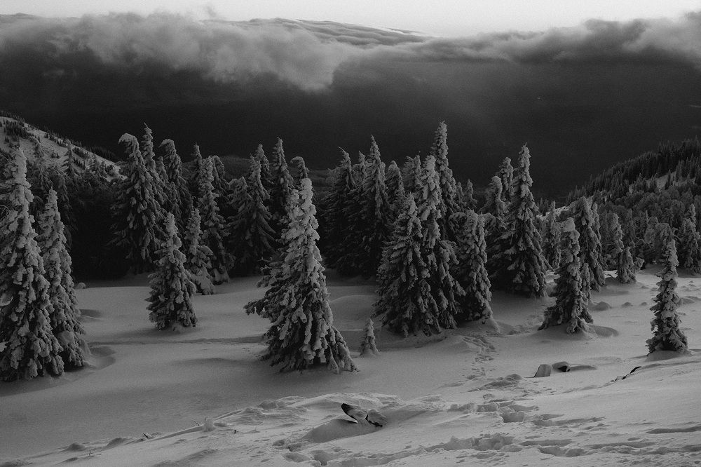 Photograph by Бодрягин Виталий