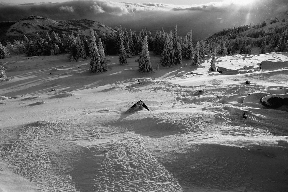 Photograph by Бодрягин Виталий