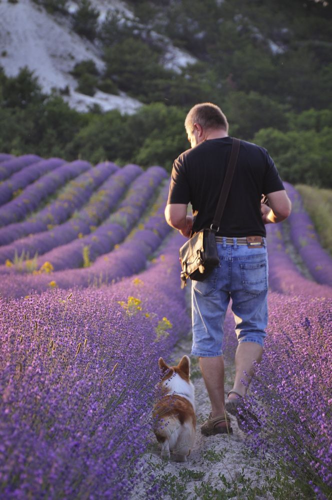 Photograph by Ирина Тертышникова