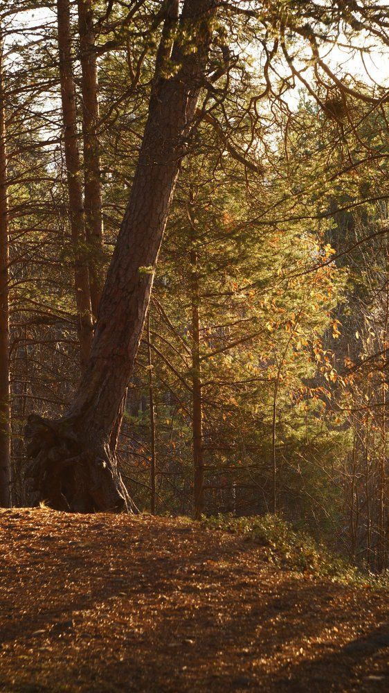Photograph by Виталий Булычев