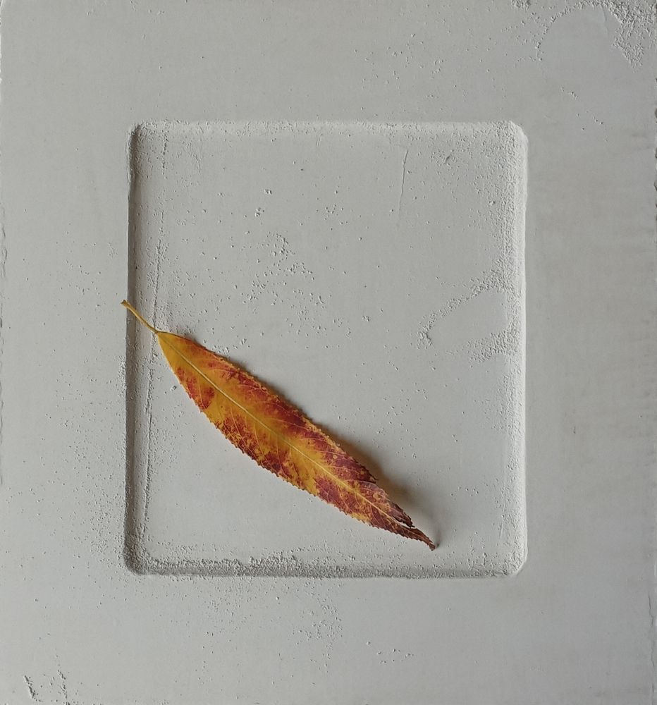 Photograph by Анастасия Кичигина