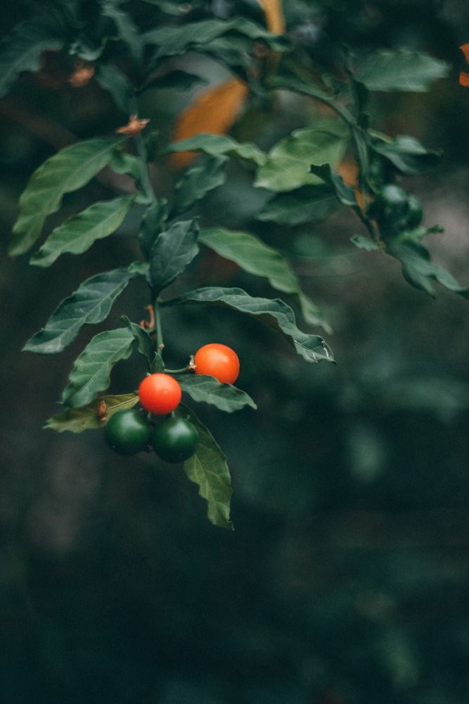 Photograph by Маргарита Поганова