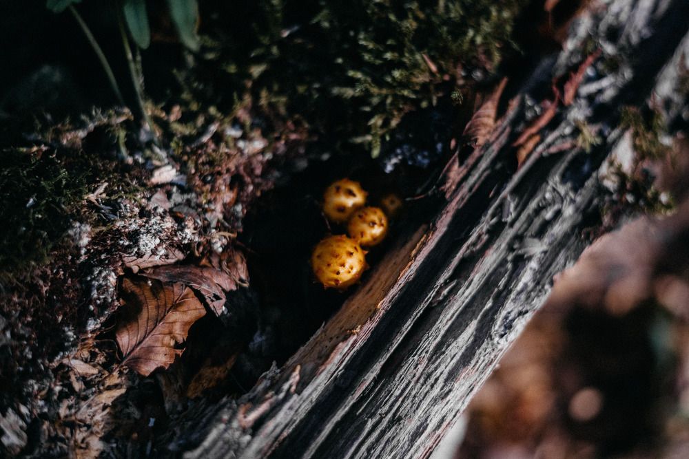 Photograph by Маргарита Поганова