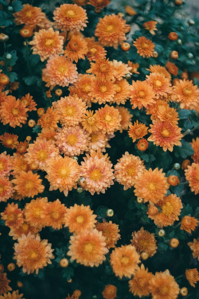 Photograph by Маргарита Поганова