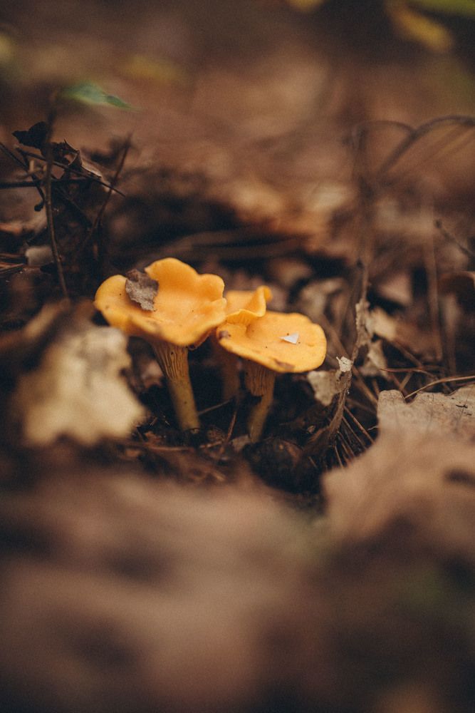 Photograph by Маргарита Поганова