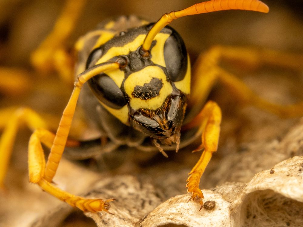 Фотография автора Sercan Özyurt