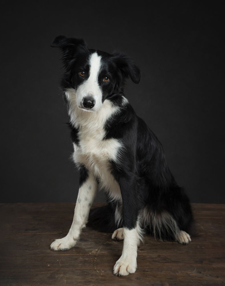 Photograph by Marco Chandía