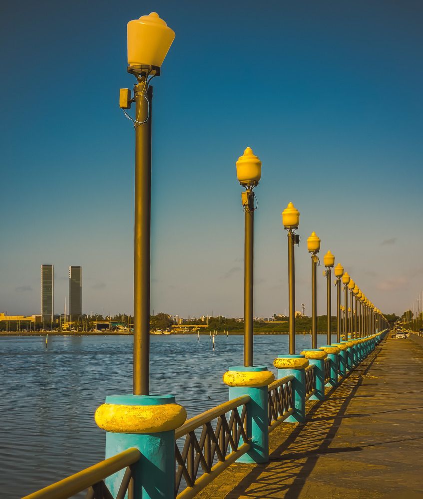 Фотография автора Walfrido Alexandre