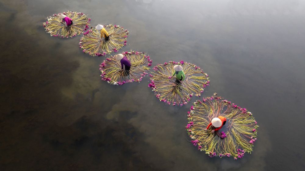 Photograph by Leduy Mai