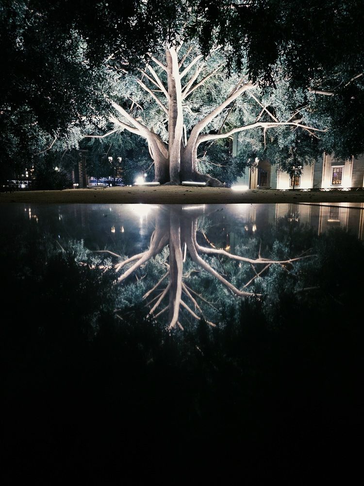 Photograph by Владислав Моисеев