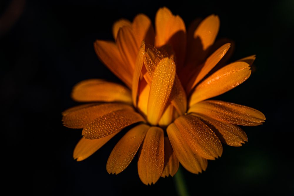 Фотография автора Ирина Гриценко