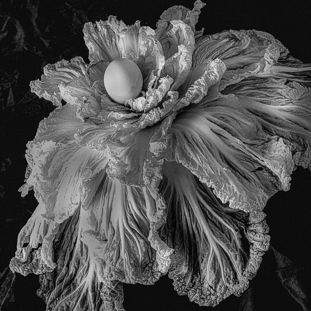 Photograph by Александр Тепляков