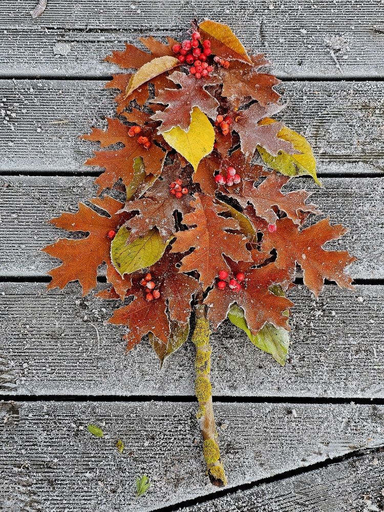 Photograph by Галина Левина