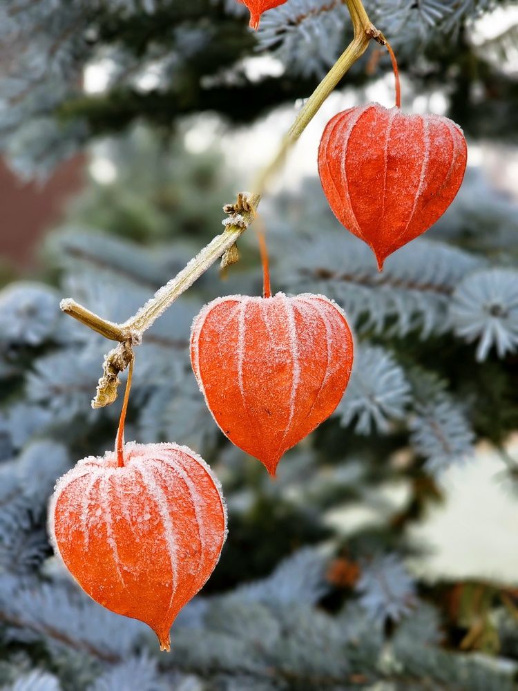 Photograph by Галина Левина