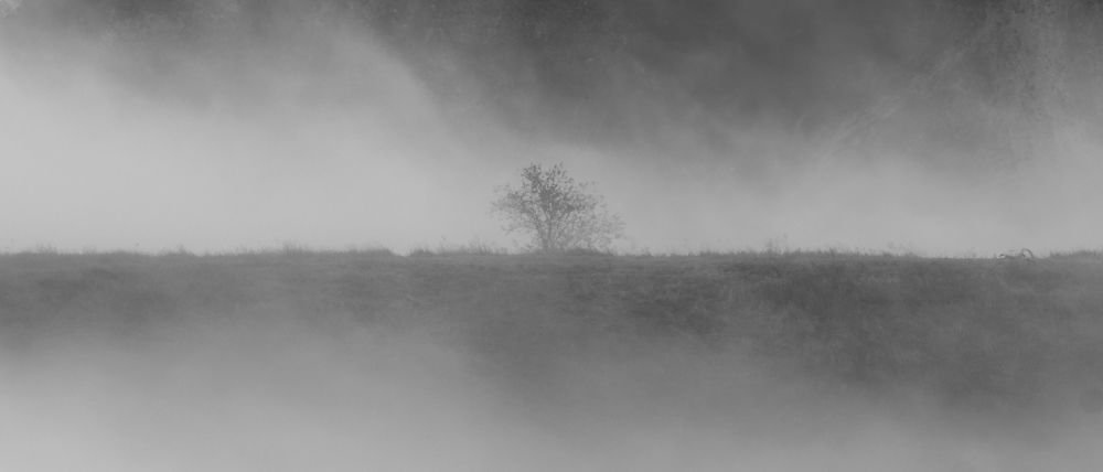 Photograph by Степан Ковыльчик