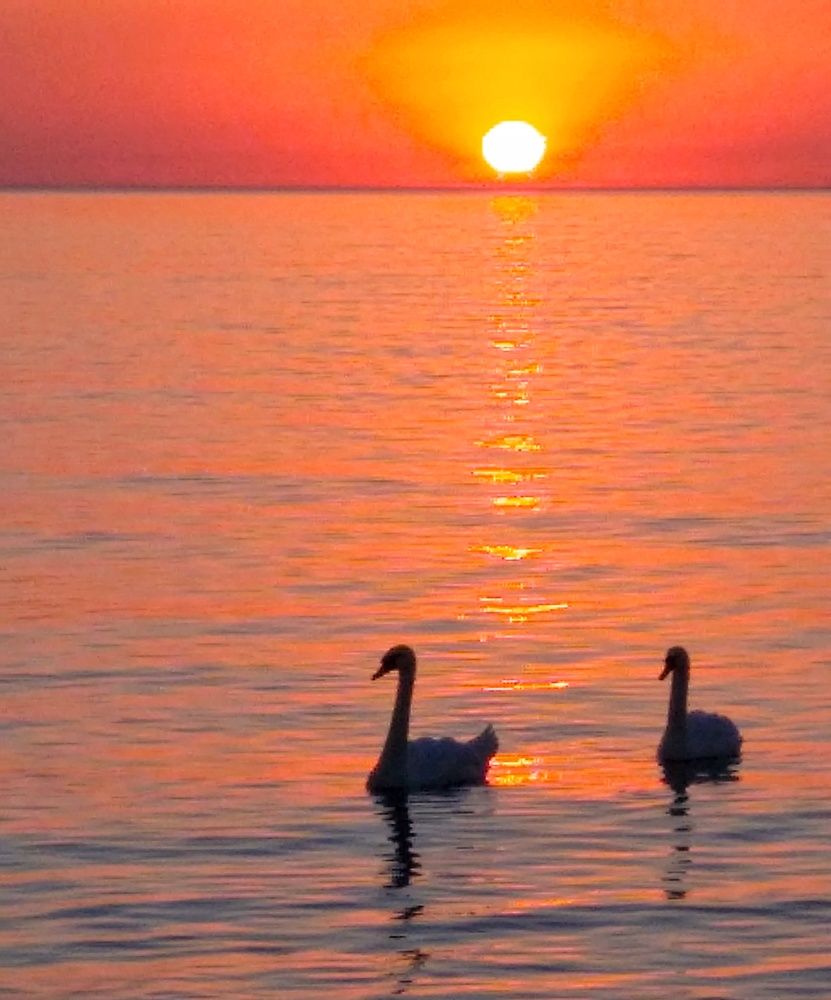 Photograph by Хоменчук Людмила