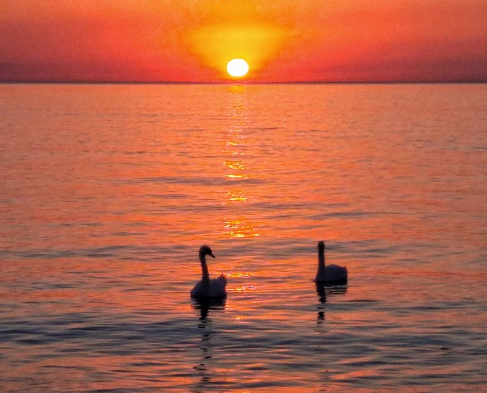 Photograph by Хоменчук Людмила